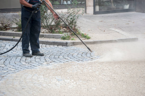 Professional Pressure Washing in Denham Springs, LA