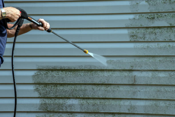 Best House Exterior Washing  in Denham Springs, LA